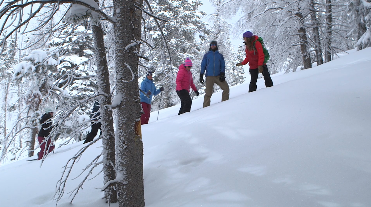 4 Great Snowshoe Trails Around Vail